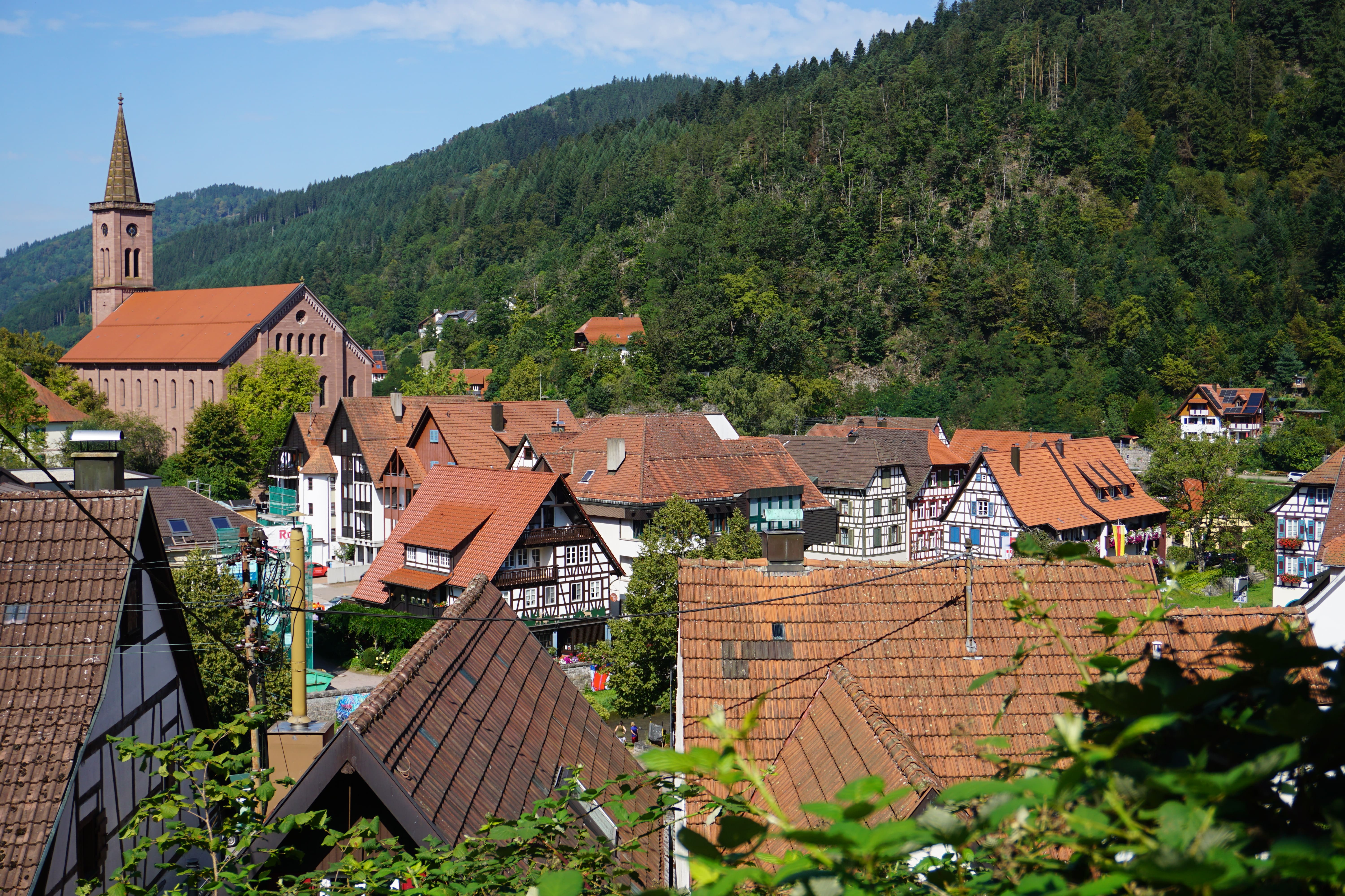 DSC01770